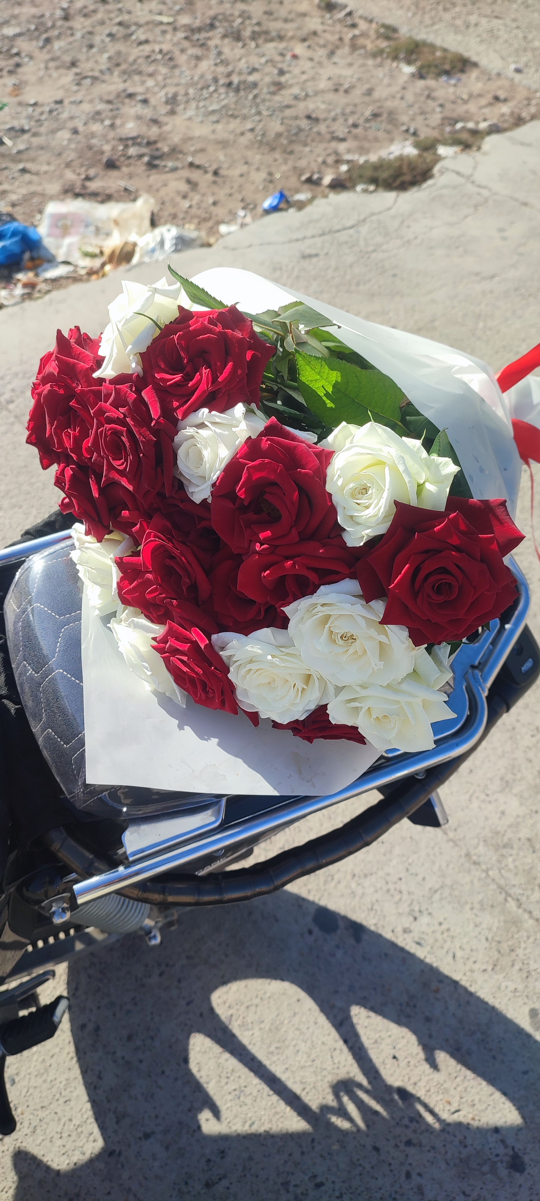 A colorful bouquet of roses